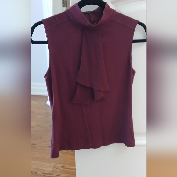 Elegant Sleeveless Burgundy Top - Picture 4 of 5